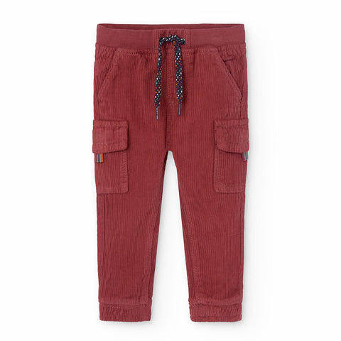 Pants velvet