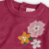 Knit dress for girl -BCI